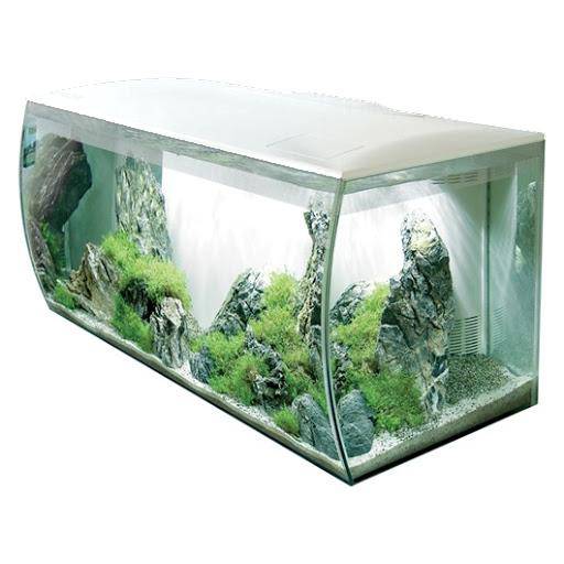 Fluval Flex 123L Aquarium White with Aquasky LED Lighting