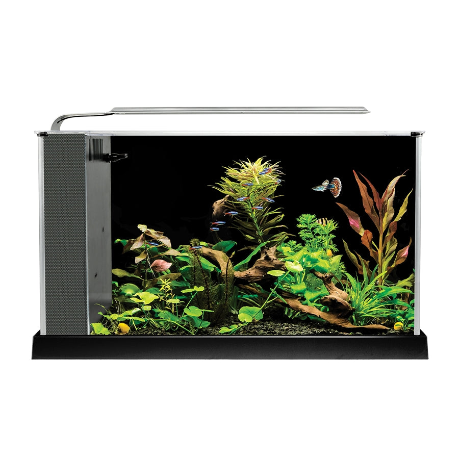 Fluval Spec 19L Nano Aquarium Kit – Black