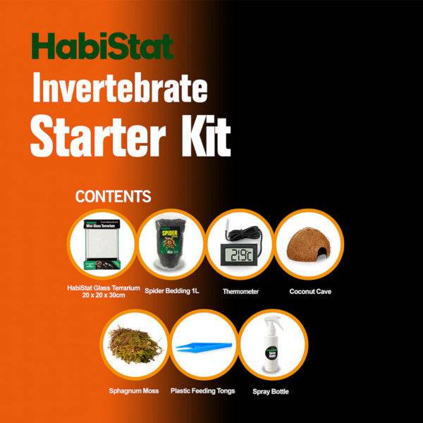 HabiStat Invertebrate Glass Terrarium Complete Starter Kit - Real Aquatics