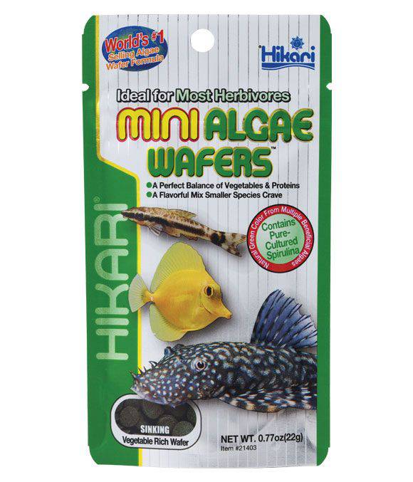 Hikari Tropical Fish Food Mini Algae Wafers 22/85g - Real Aquatics