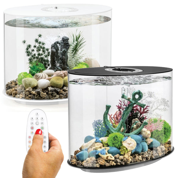BiOrb Loop 30L Aquarium MCR LED Lighting Black / White | Real Aquatics