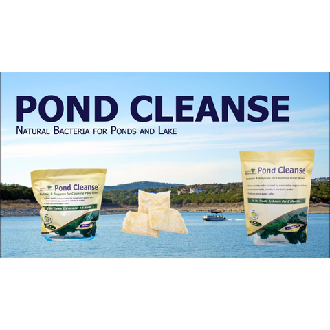 Pond Cleanse