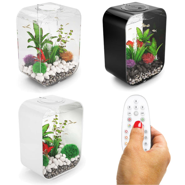 jojmjceevt0_600x600_crop_cente