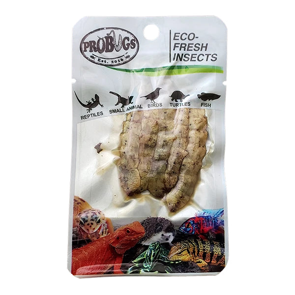 ProBugs Eco Fresh Insects Silkworms 5pcs