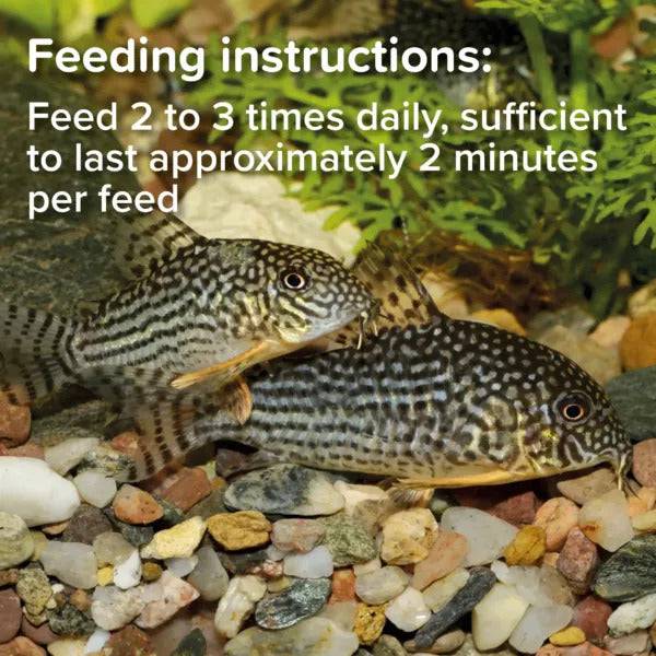 King British Catfish Pellet Fish Food 200/600g - Real Aquatics