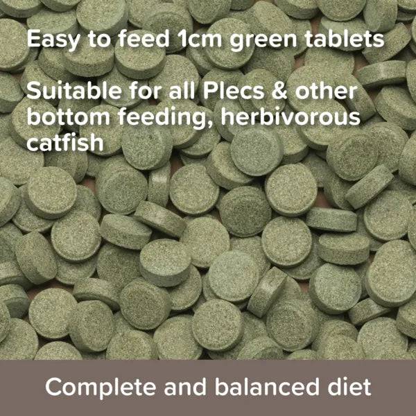 King British Plecostomus Food Tablets 50g - Real Aquatics