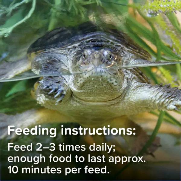 King British Turtle and Terrapin Complete Food 80/200g - Real Aquatics