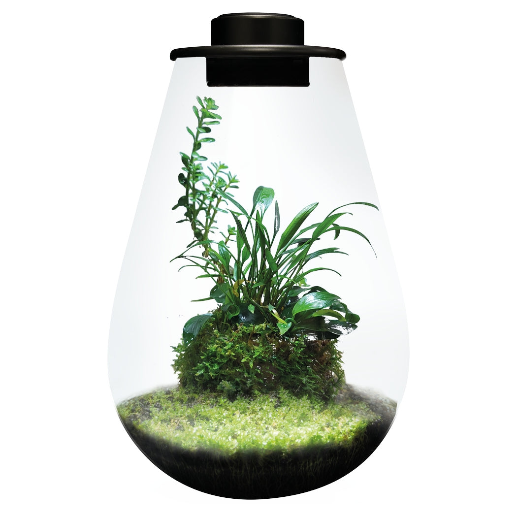 BioArt DROP Terrarium Micro Landscape Black 5.1L