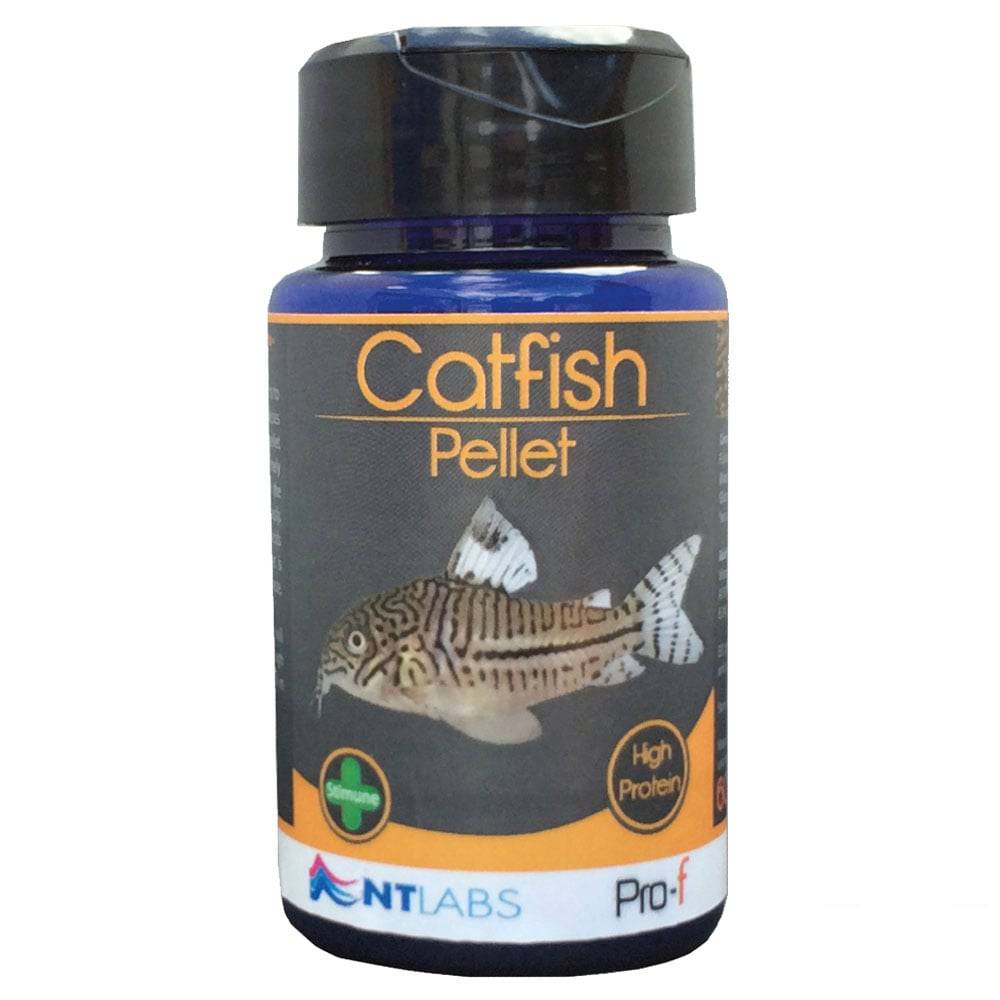 NT Labs Pro-f Catfish Pellet Aquarium Fish Food 60g - Real Aquatics