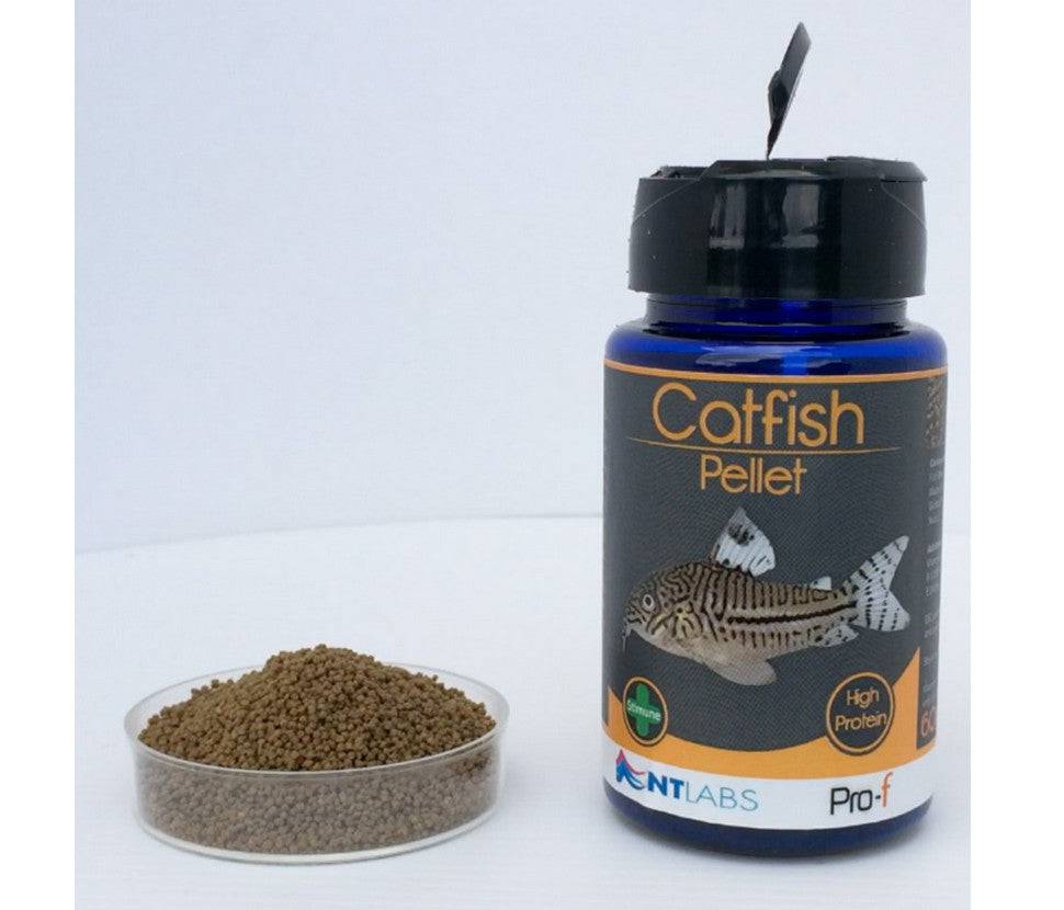 NT Labs Pro-f Catfish Pellet Aquarium Fish Food 60g - Real Aquatics