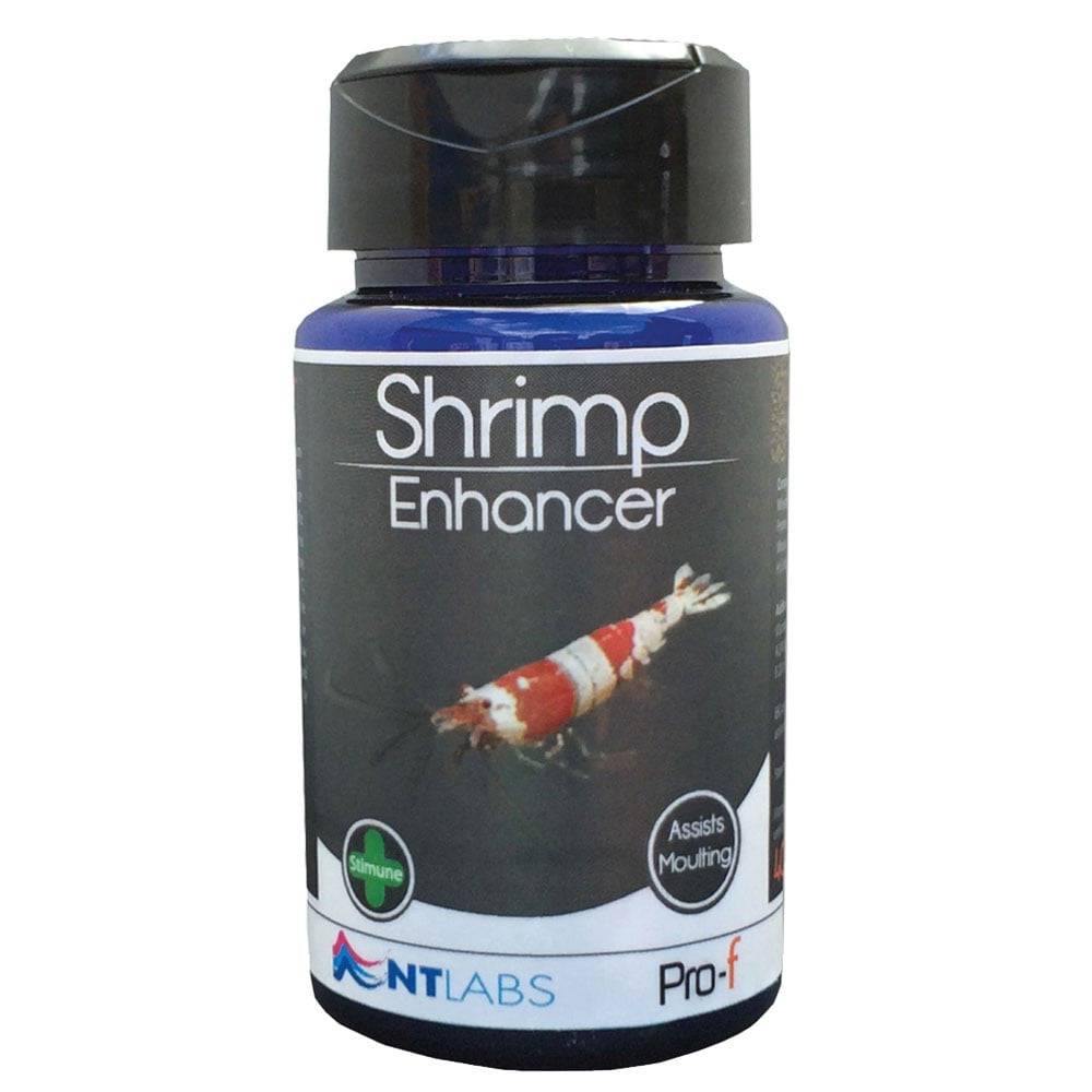 NT Labs Pro-f Shrimp Enhancer Granule Food 40g - Real Aquatics