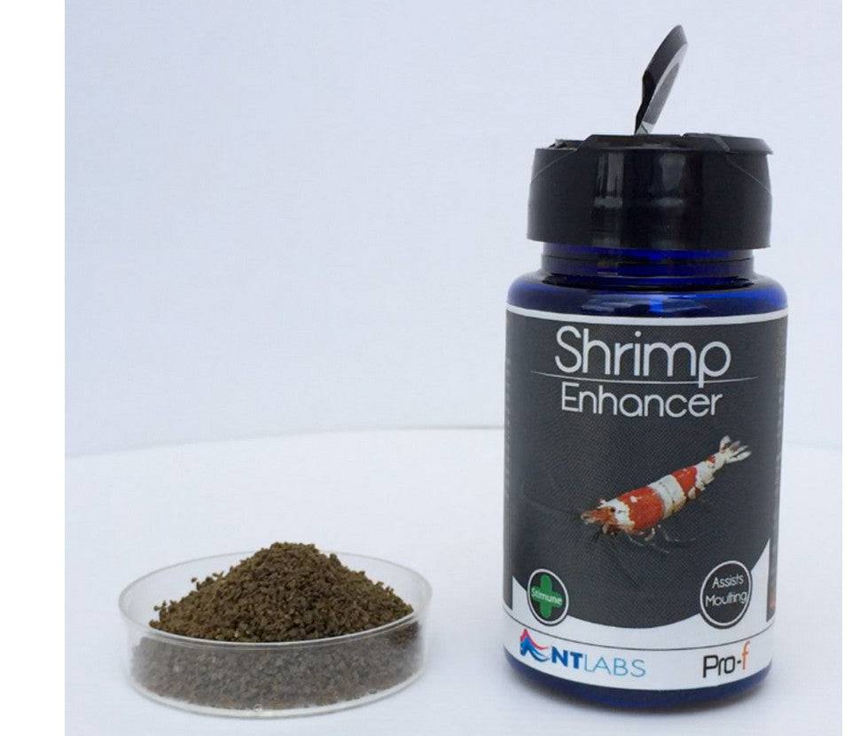 NT Labs Pro-f Shrimp Enhancer Granule Food 40g - Real Aquatics