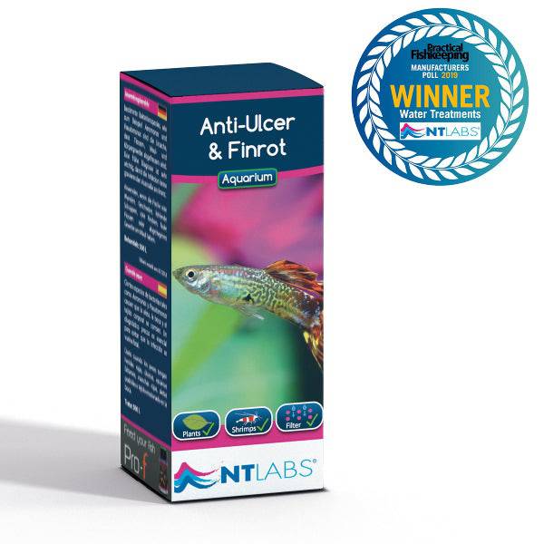 NT Labs Anti-Ulcer & Finrot Aquarium Disease Treatment 100ml/250ml - Real Aquatics