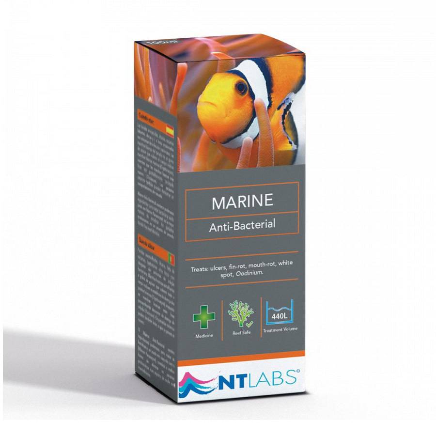 NT Labs Anti-Bacterial Aquarium Fish Tank Marine Treatment 100ml - Real Aquatics