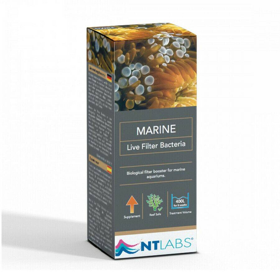 NT Labs Marine Live Filter Bacteria Filter Quick Start 100ml - Real Aquatics