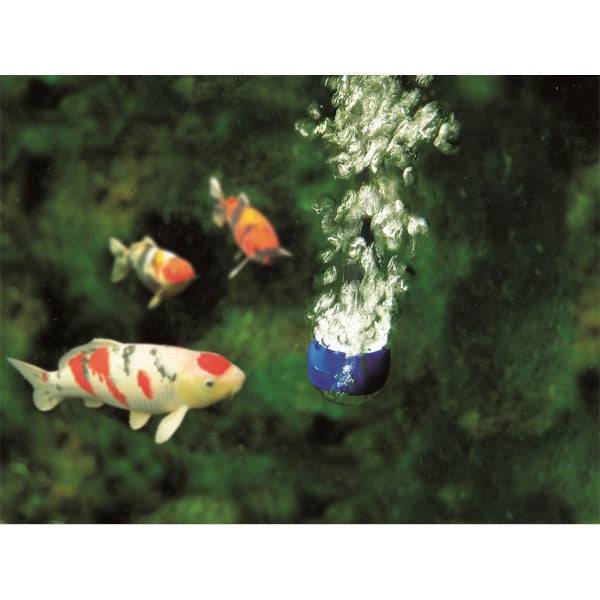 Oase AquaOxy 1000 Pond Air Pump - Real Aquatics