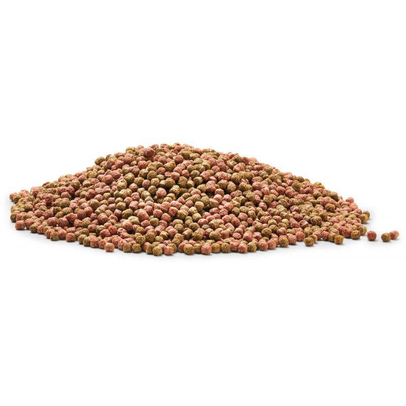 Oase Dynamix Koi Pellets Floating Fish Food Small 3-4mm - Real Aquatics