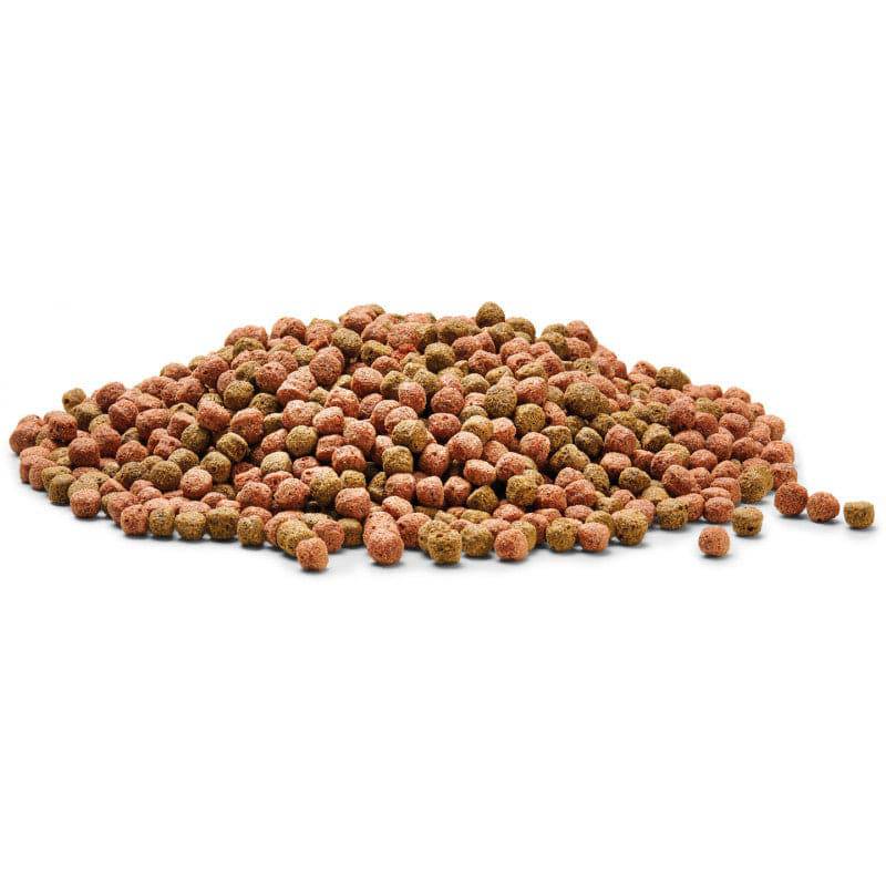 Oase Dynamix Koi Pellets Floating Fish Food Large 5-7mm - Real Aquatics