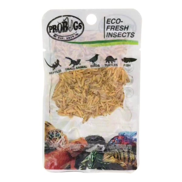 ProBugs Eco Fresh Insects Riceworms 15g
