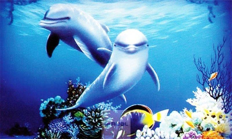 Penn Plax 3D HD Aquarium Background Dolphin 51 x 31cm - Real Aquatics