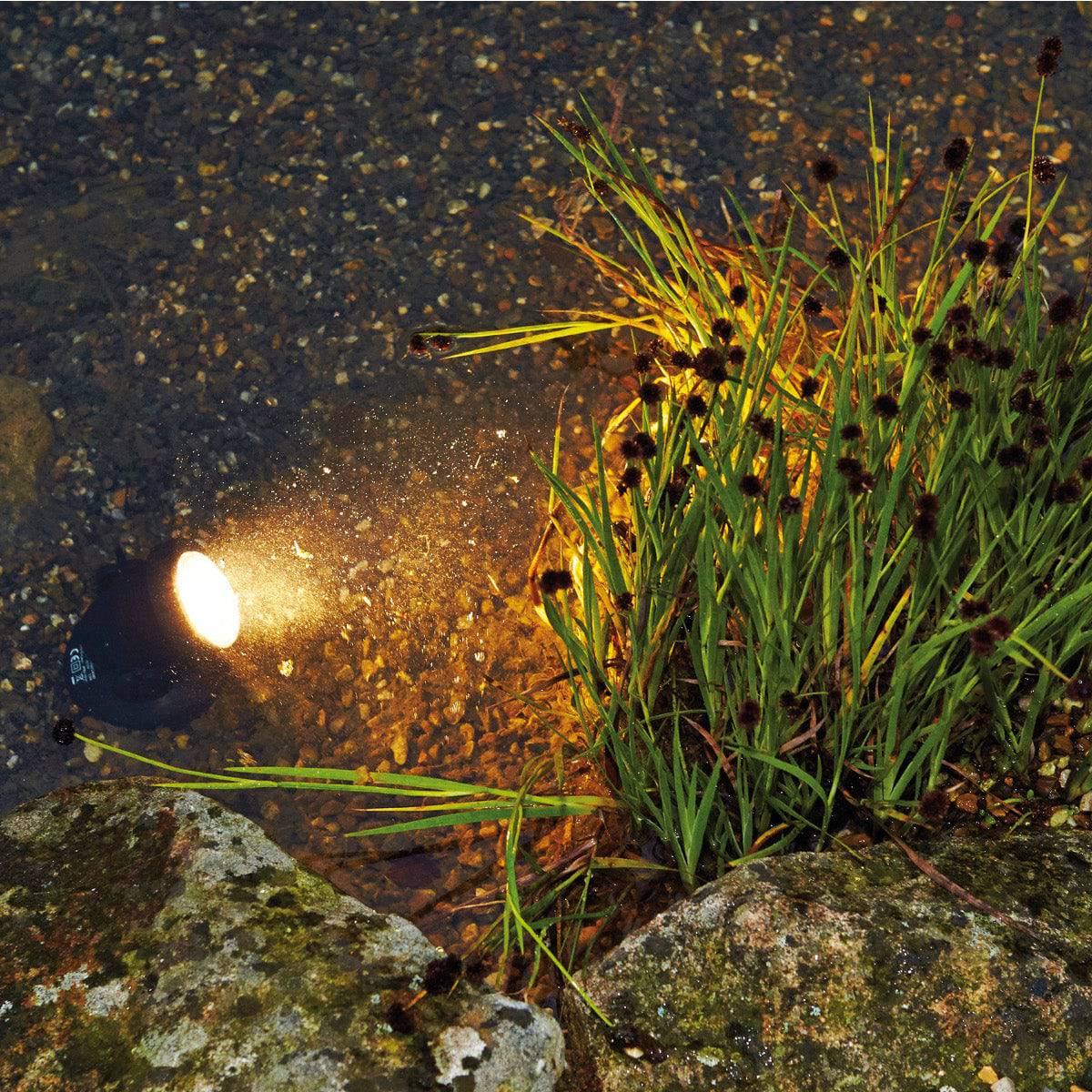 Pontec Pondostar LED Set of 6 Pond Lights - Real Aquatics