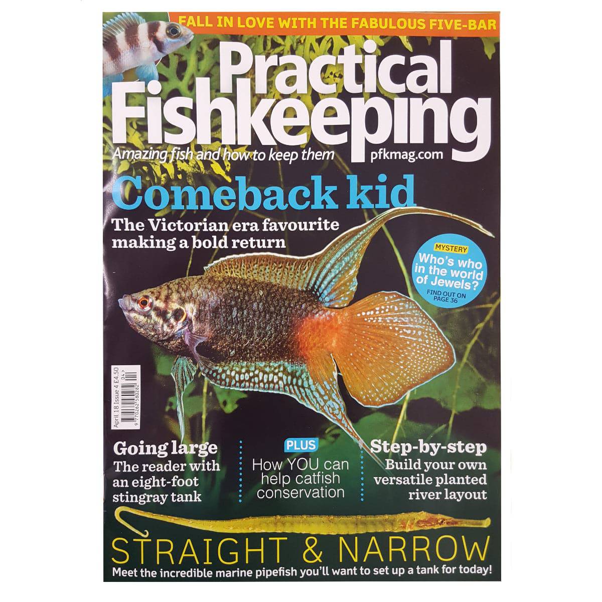 Practical Fishkeeping Magazine April 2018 Issue 4 PFK Mag - Real Aquatics