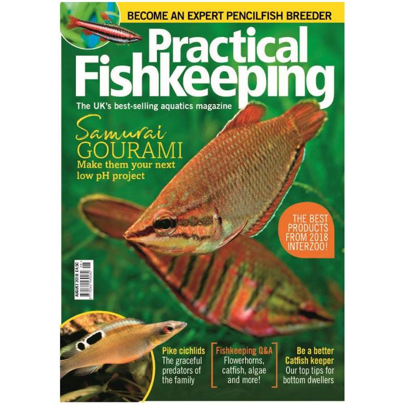 Practical Fishkeeping Magazine August 2018 Issue 8 PFK Mag - Real Aquatics