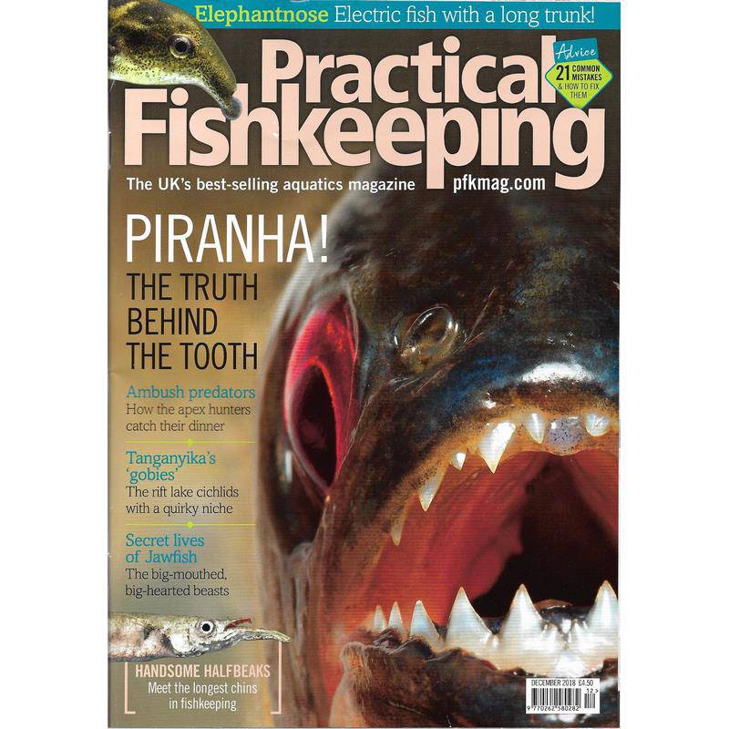 Practical Fishkeeping Magazine December 2018 Issue 12 PFK Mag - Real Aquatics