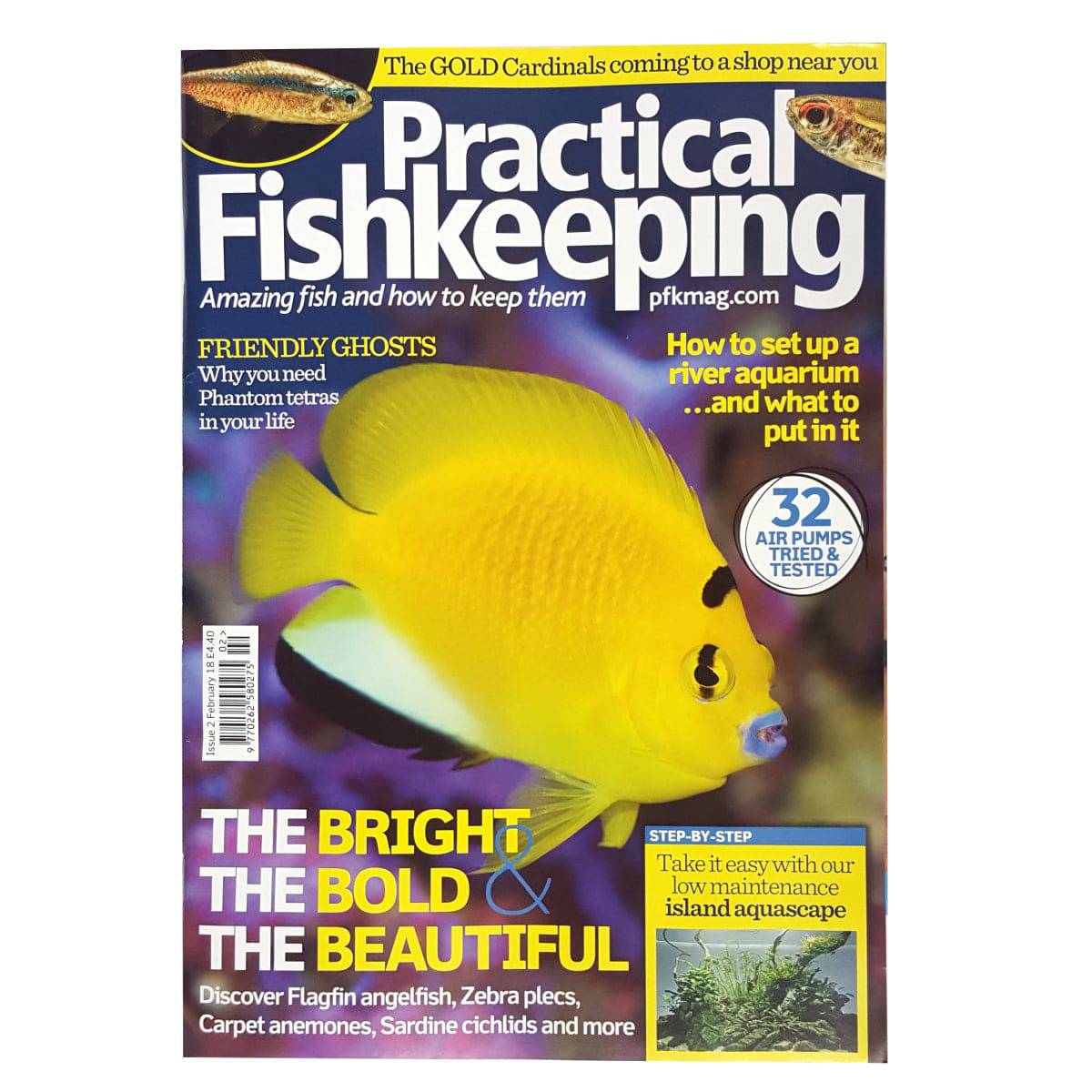 Practical Fishkeeping Magazine February 2018 Issue 2 PFK Mag - Real Aquatics