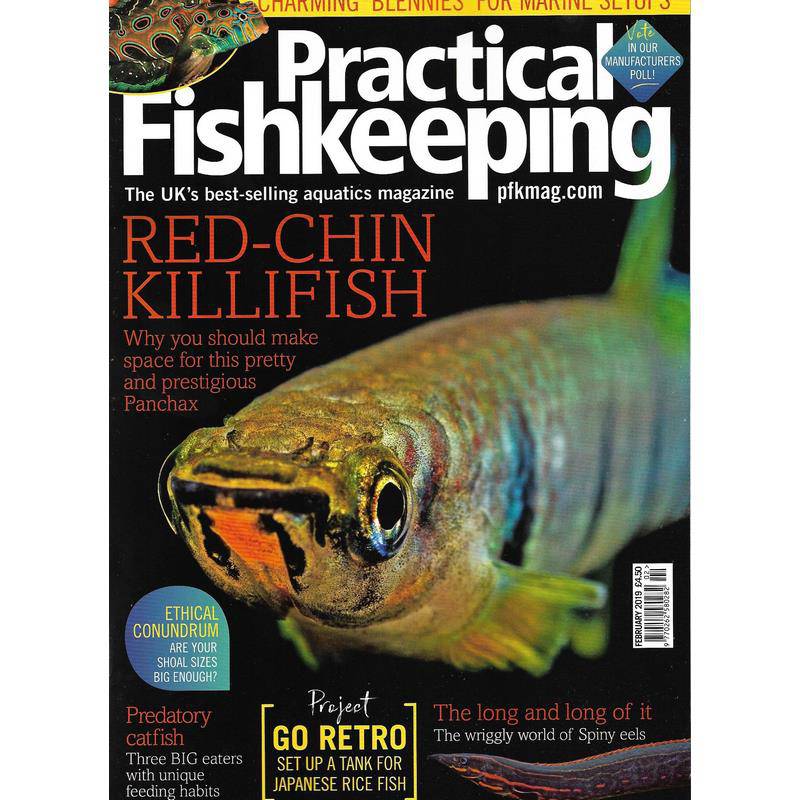 Practical Fishkeeping Magazine February 2019 Issue 2 PFK Mag - Real Aquatics