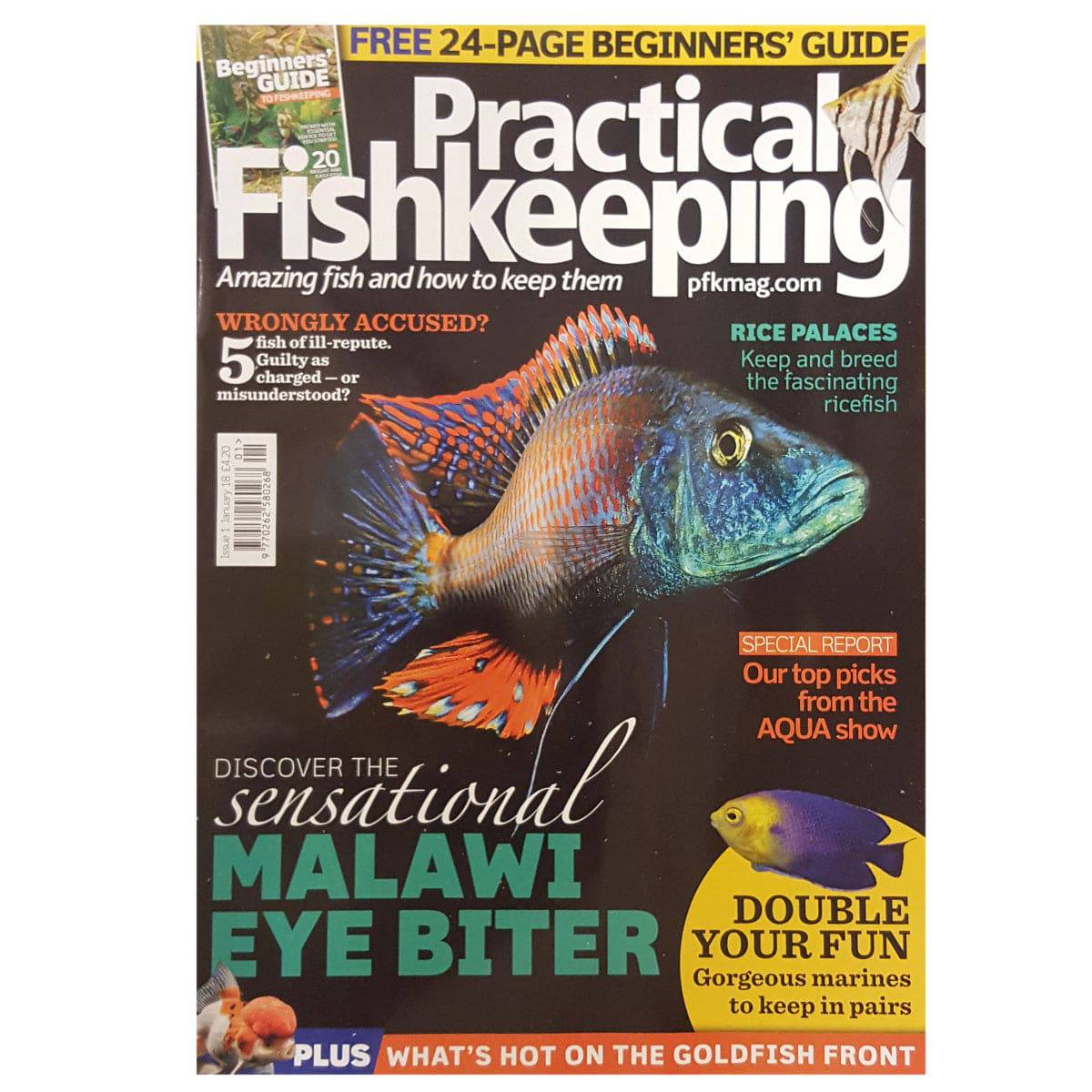 Practical Fishkeeping Magazine January 2018 Issue 1 PFK Mag - Real Aquatics