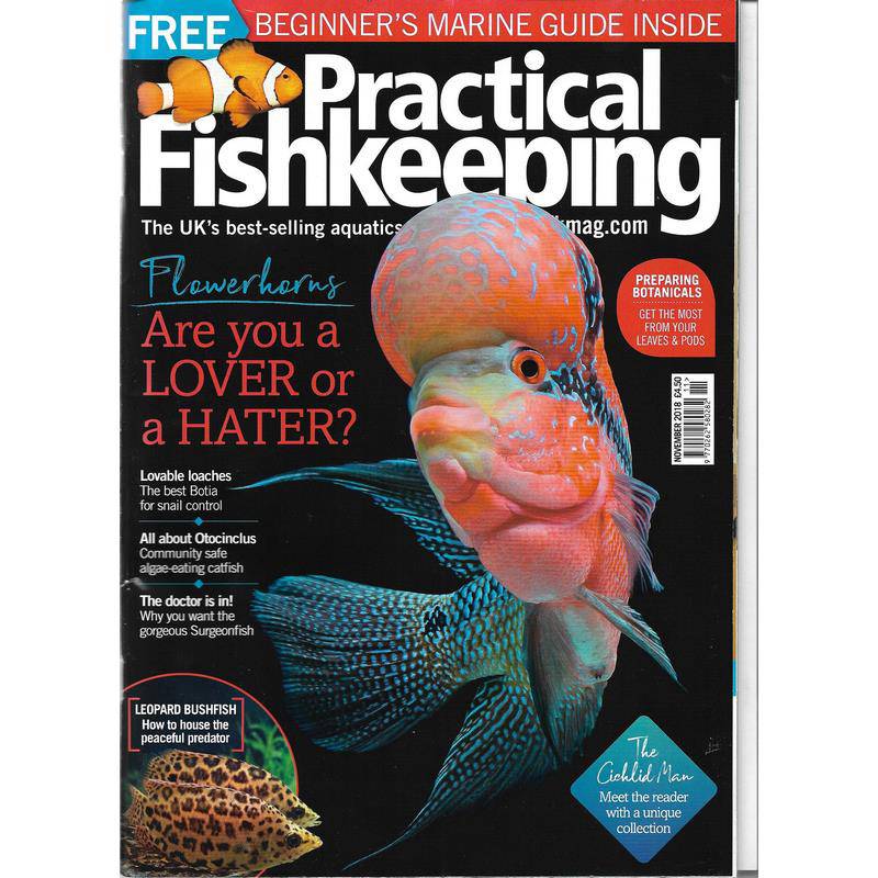 Practical Fishkeeping Magazine November 2018 Issue 11 PFK Mag - Real Aquatics