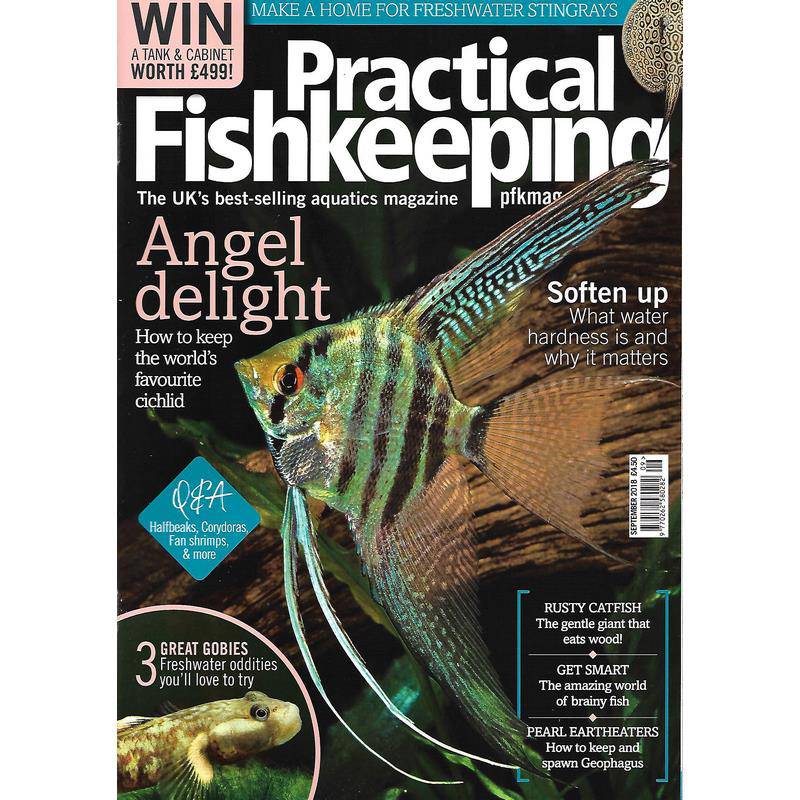 Practical Fishkeeping Magazine September 2018 Issue 9 PFK Mag - Real Aquatics