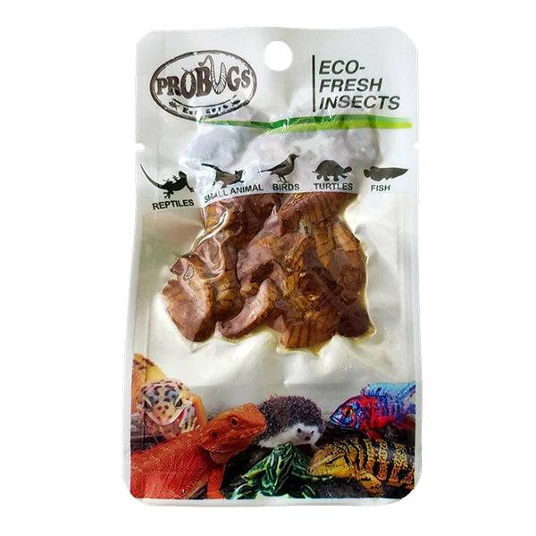 ProBugs Eco Fresh Insects Silkworm Pupae 15g