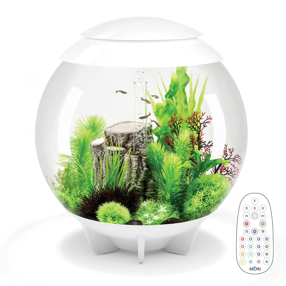 biOrb Halo 60L Aquarium with MCR LED Lighting
