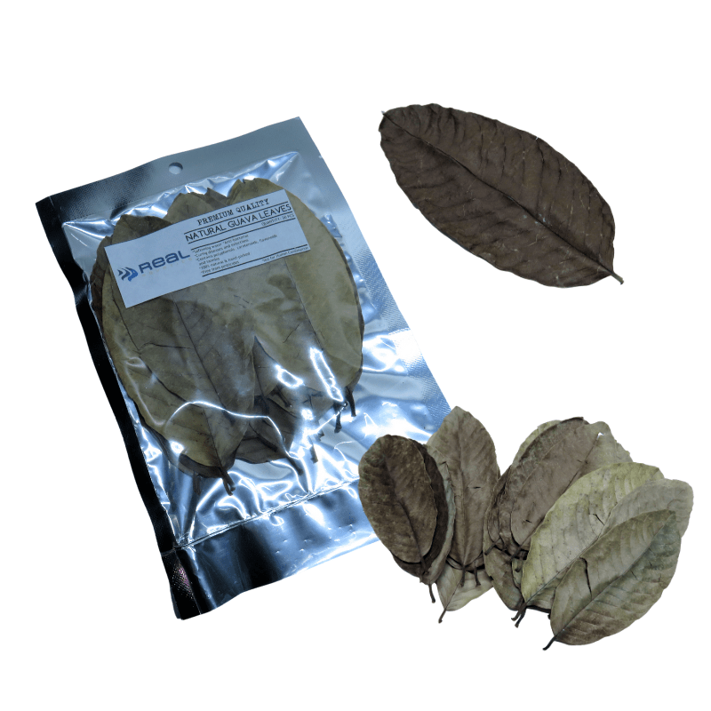 Natural Guava Leaves x20 - Real Aquatics