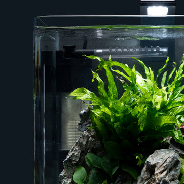 Dennerle Nano Baby Protect - Baby-Garnelen Schutzgitter für Nano
