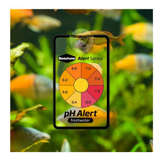 Seachem Alert Combo Ammonia & pH Continuous Readings - Real Aquatics