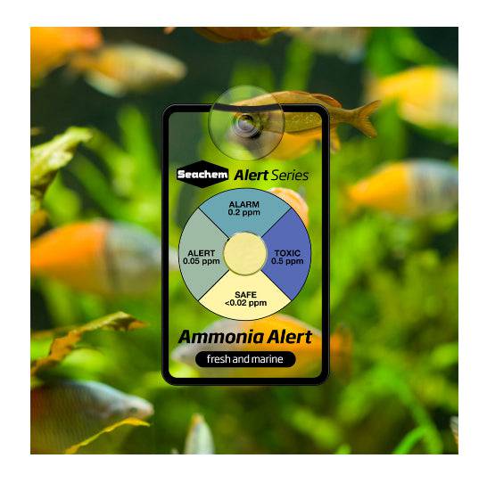 Seachem Alert Combo Ammonia & pH Continuous Readings - Real Aquatics