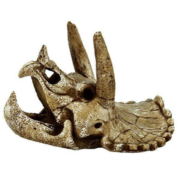 SuperFish Skull Triceratops Aquarium Ornament Medium - Real Aquatics