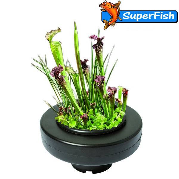 Superfish Floating Plant Basket - Real Aquatics