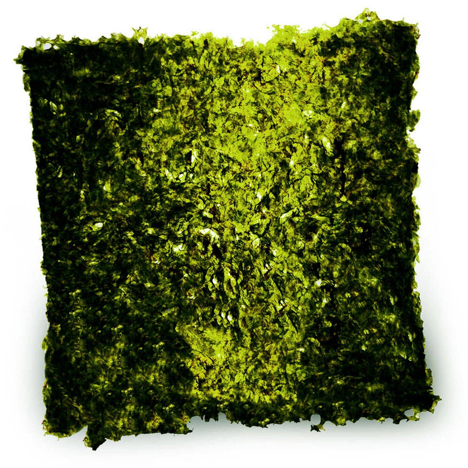 Julian Sprung's Sea Veggies Green Seaweed 2 Sizes - Real Aquatics