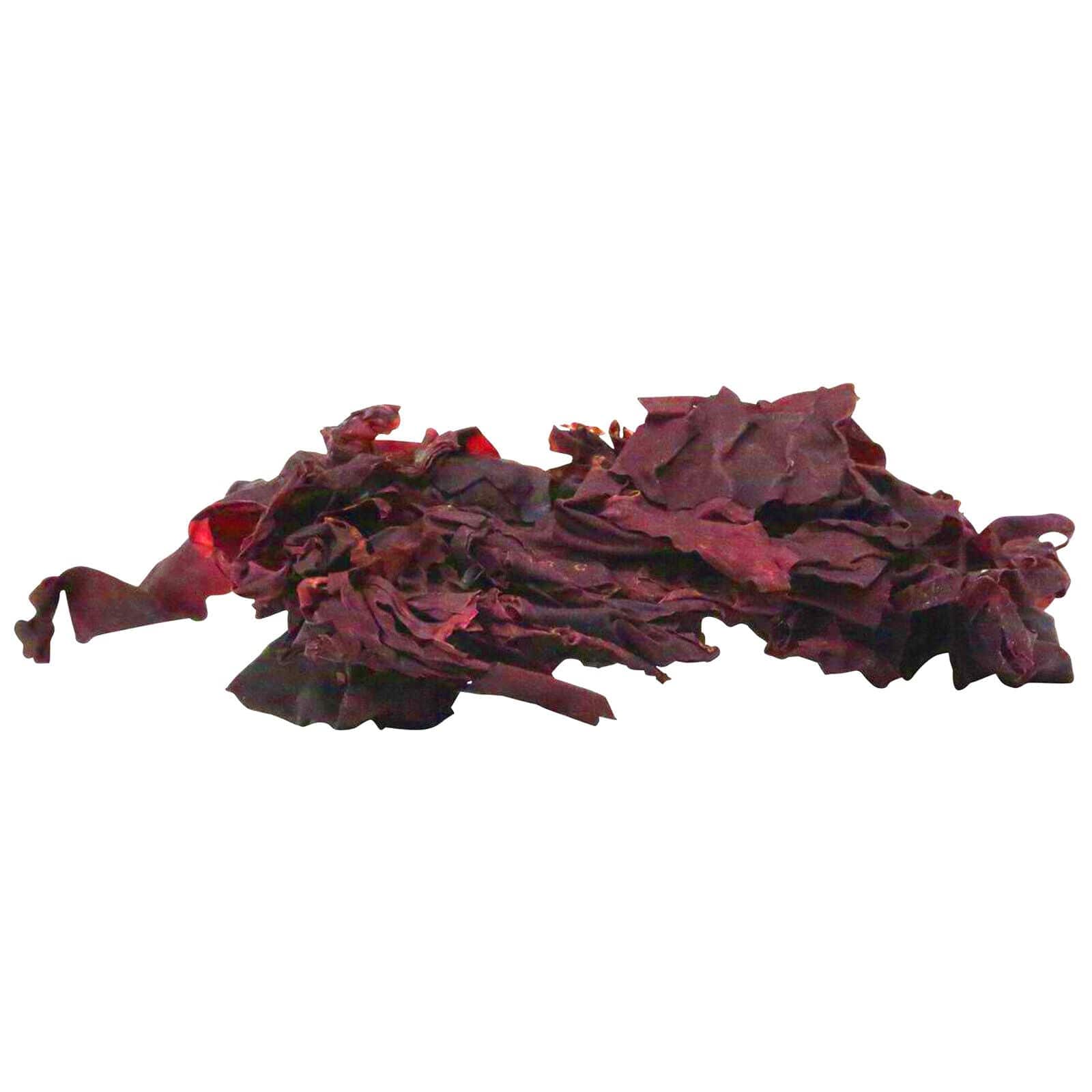 Julian Sprung's Sea Veggies Red Seaweed 2 Sizes - Real Aquatics