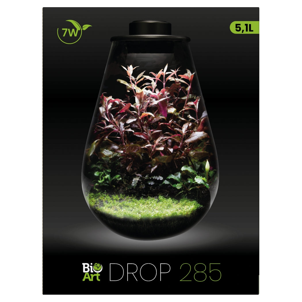 BioArt DROP Terrarium Micro Landscape Black 5.1L