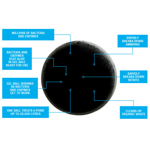 Evolution Aqua PURE Pond Bomb | Beneficial Bacteria Pond Treatment