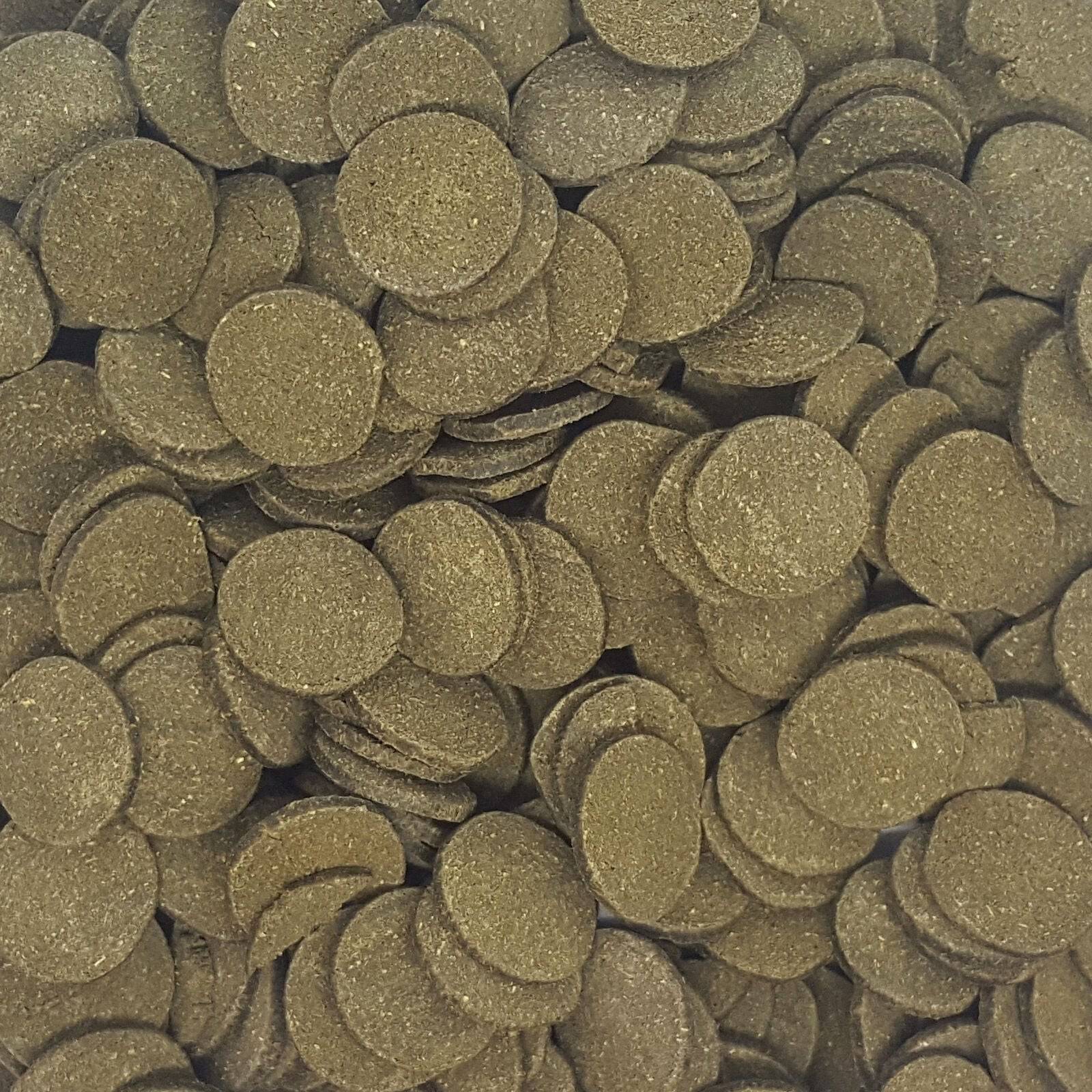 Premium Spirulina Algae Wafers for Bottom Feeders - Real Aquatics