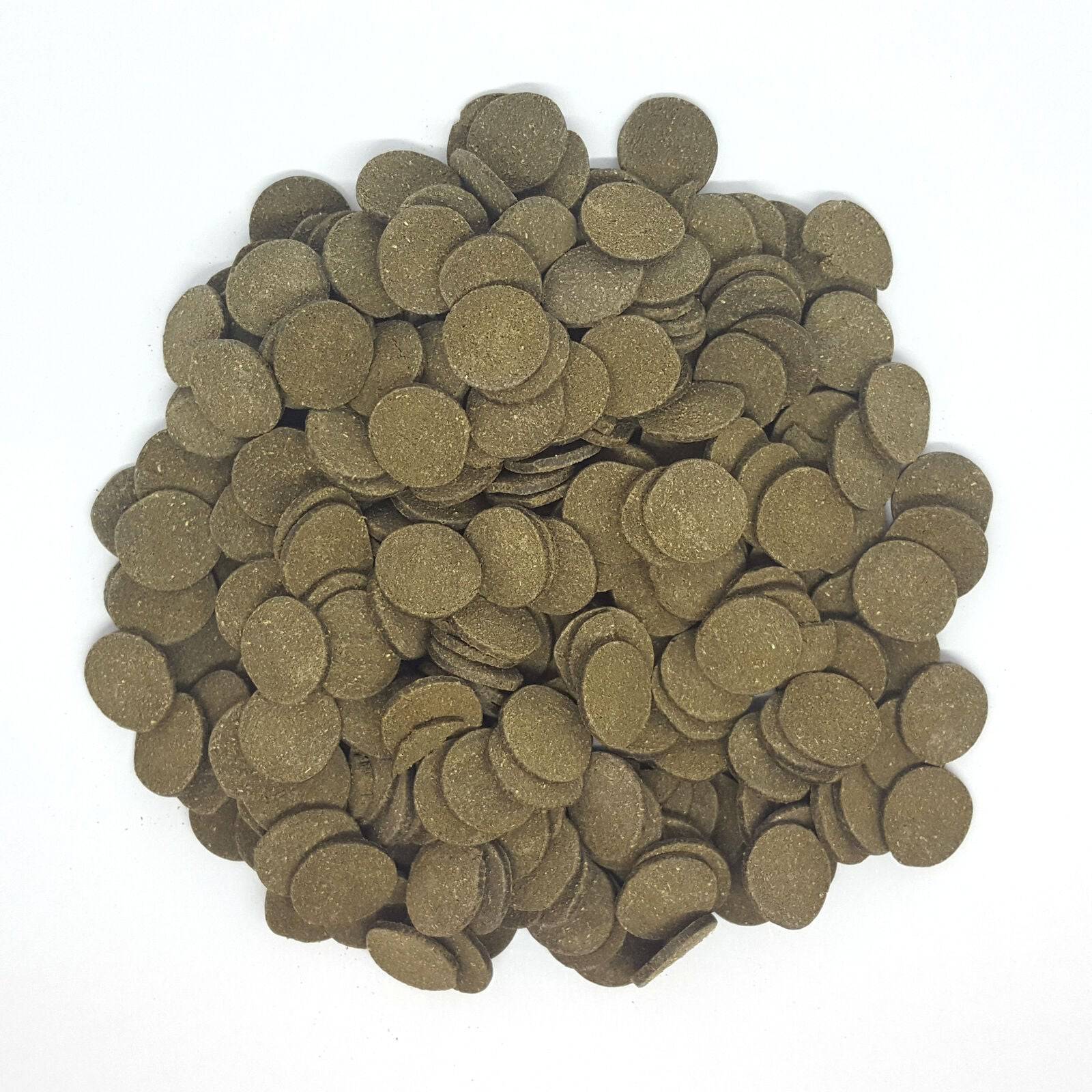 Premium Spirulina Algae Wafers for Bottom Feeders - Real Aquatics