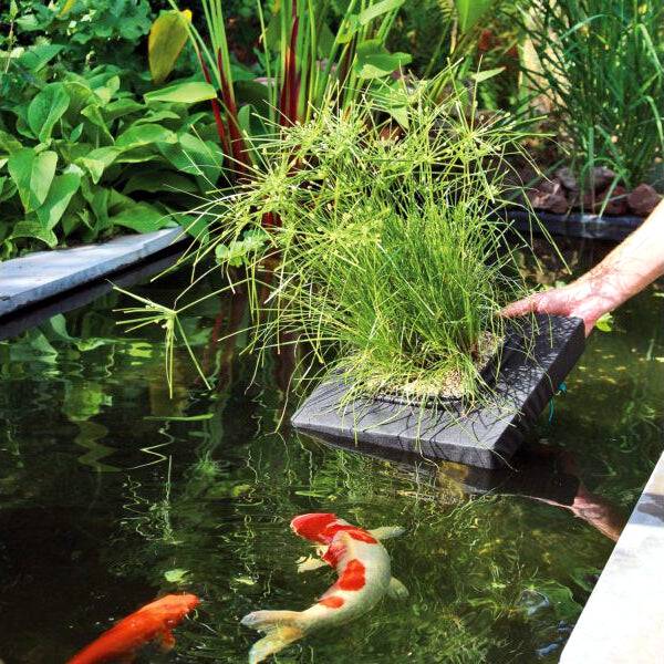 Velda Floating Pond Plant Islands Square 2 Sizes - Real Aquatics