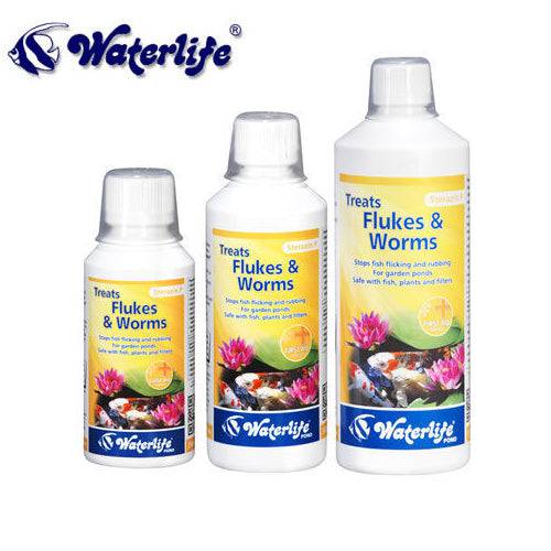 Waterlife Sterazin P Gill / Body Flukes Treatment 250ml - 1000ml - Real Aquatics