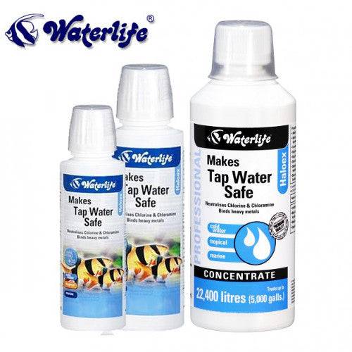 Waterlife Haloex Tap Safe Conditioner 100 - 500ml - Real Aquatics